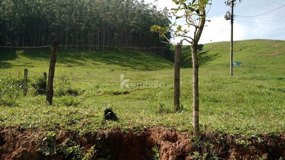 Fazenda em Paraibuna/São Paulo — Ref 8UDWCJ — Imagem 17