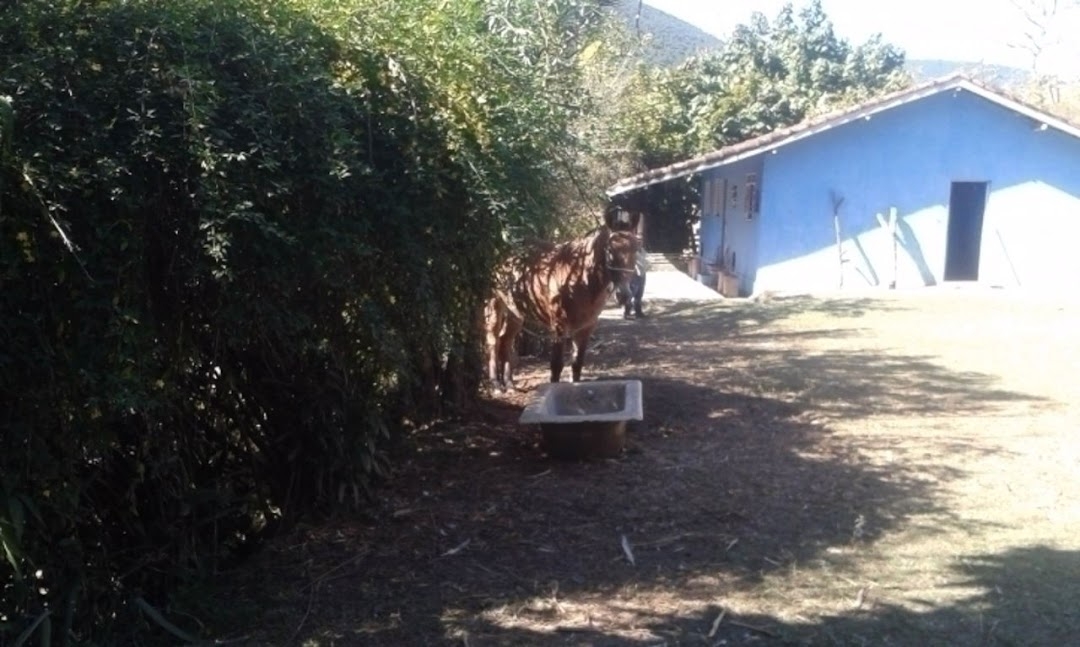 Sítio, 3 quartos, 300 m² - Foto 6