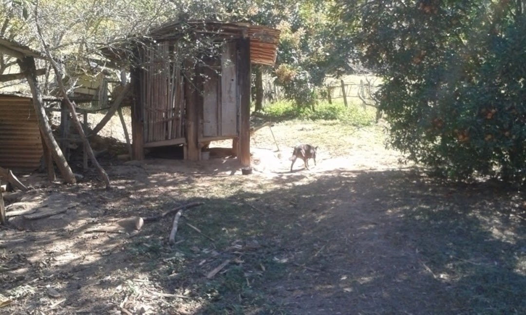 Sítio, 3 quartos, 300 m² - Foto 4