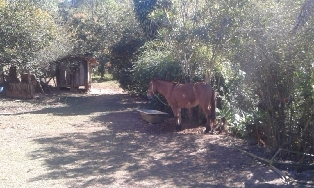 Sítio, 3 quartos, 300 m² - Foto 2