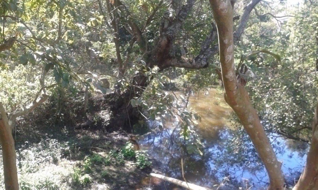 Sítio, 3 quartos, 300 m² - Foto 9