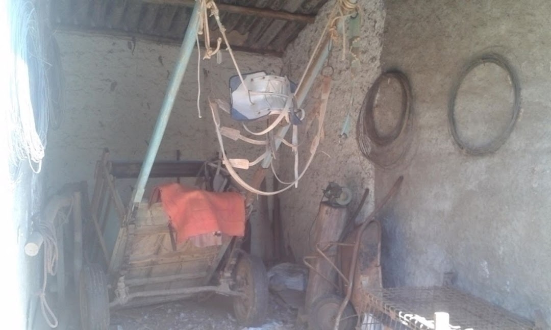 Sítio, 3 quartos, 300 m² - Foto 3