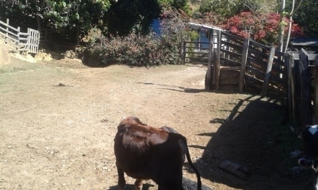 Sítio, 3 quartos, 300 m² - Foto 20