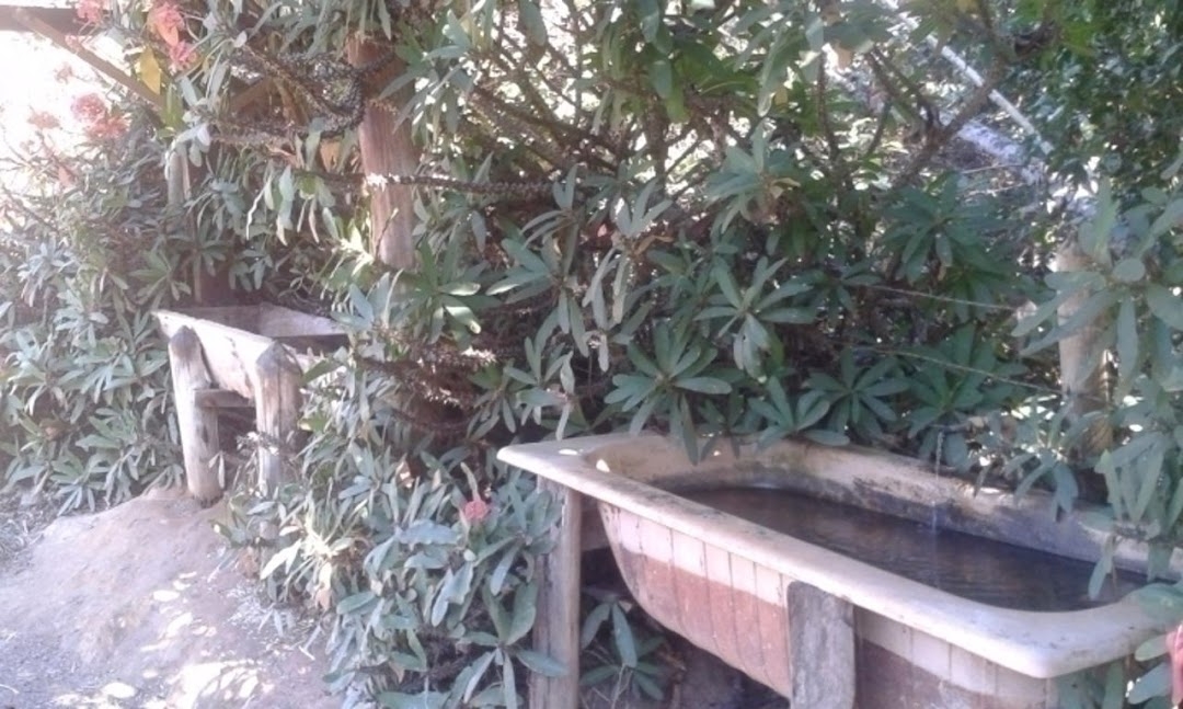 Sítio, 3 quartos, 300 m² - Foto 15