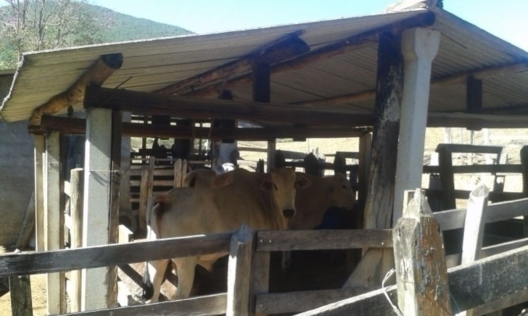 Sítio, 3 quartos, 300 m² - Foto 17