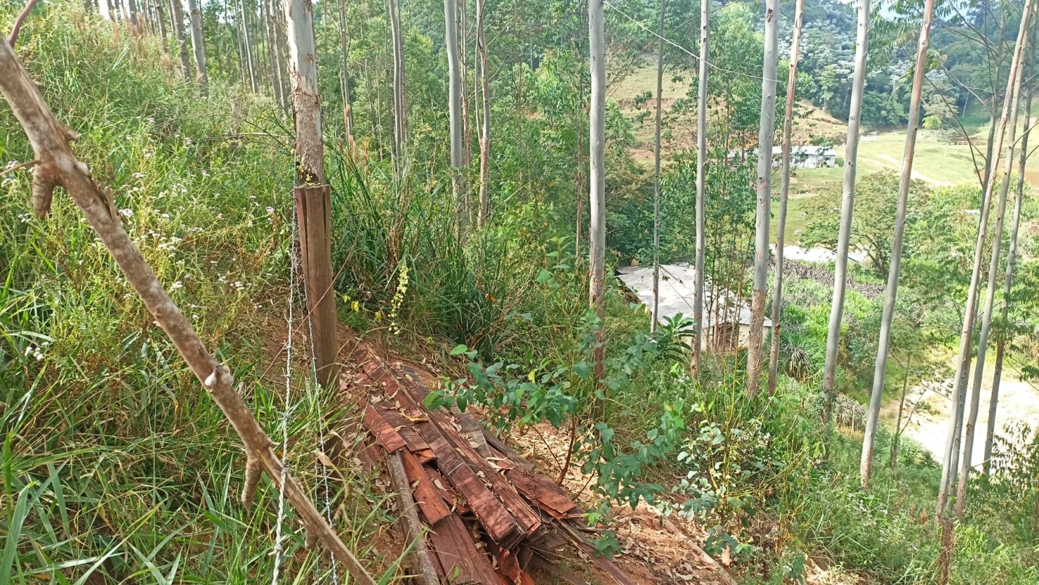 Chácara, 4 quartos, 500 m² - Foto 3