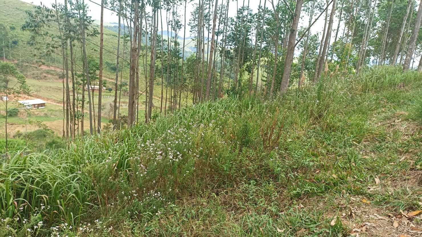 Chácara em Paraibuna/São Paulo — Ref T3PDGZ — Imagem 6