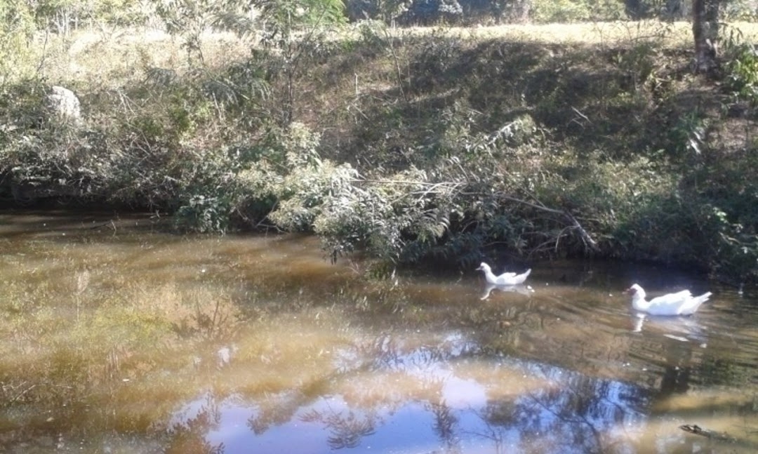 Sítio, 3 quartos, 300 m² - Foto 22