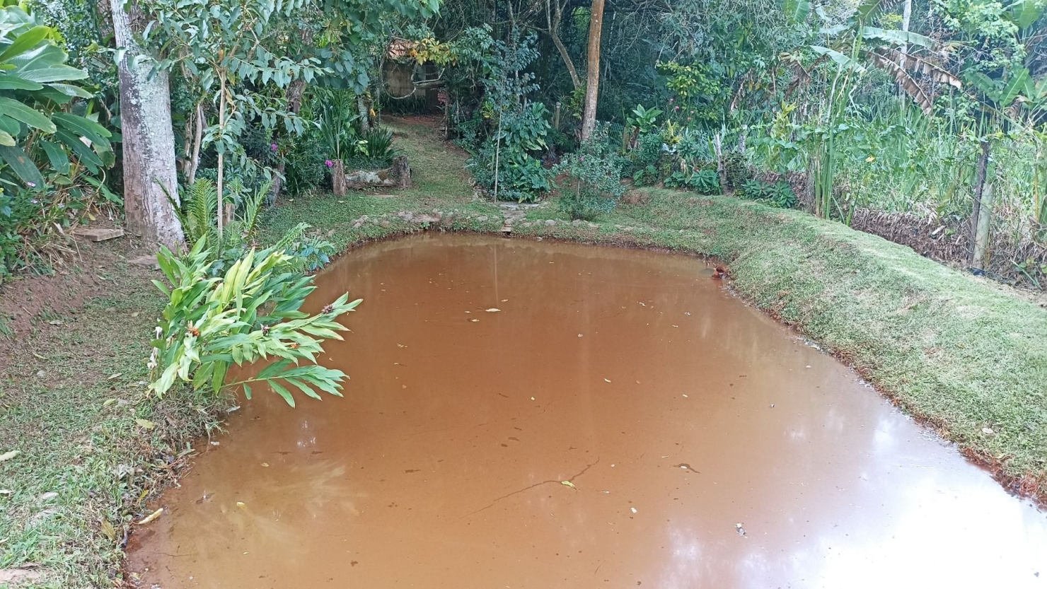 Chácara, 3 quartos, 300 m² - Foto 3