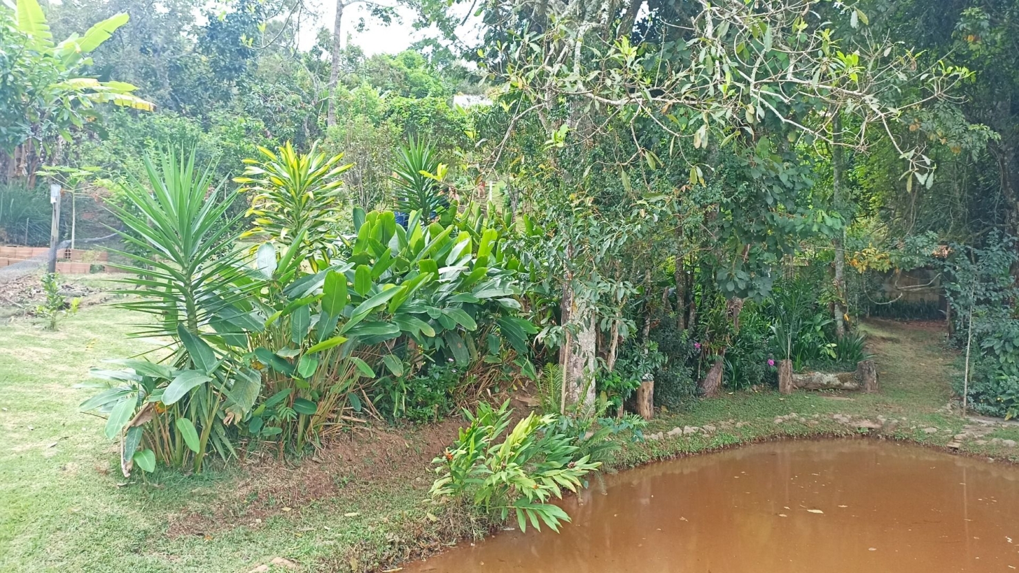 Chácara, 3 quartos, 300 m² - Foto 4