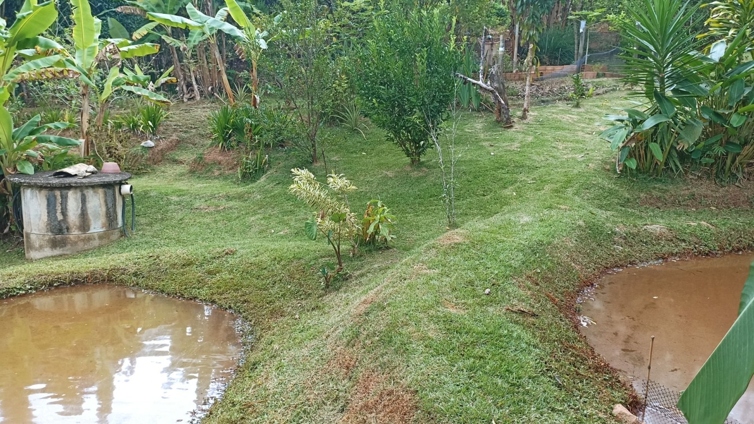 Chácara, 3 quartos, 300 m² - Foto 5