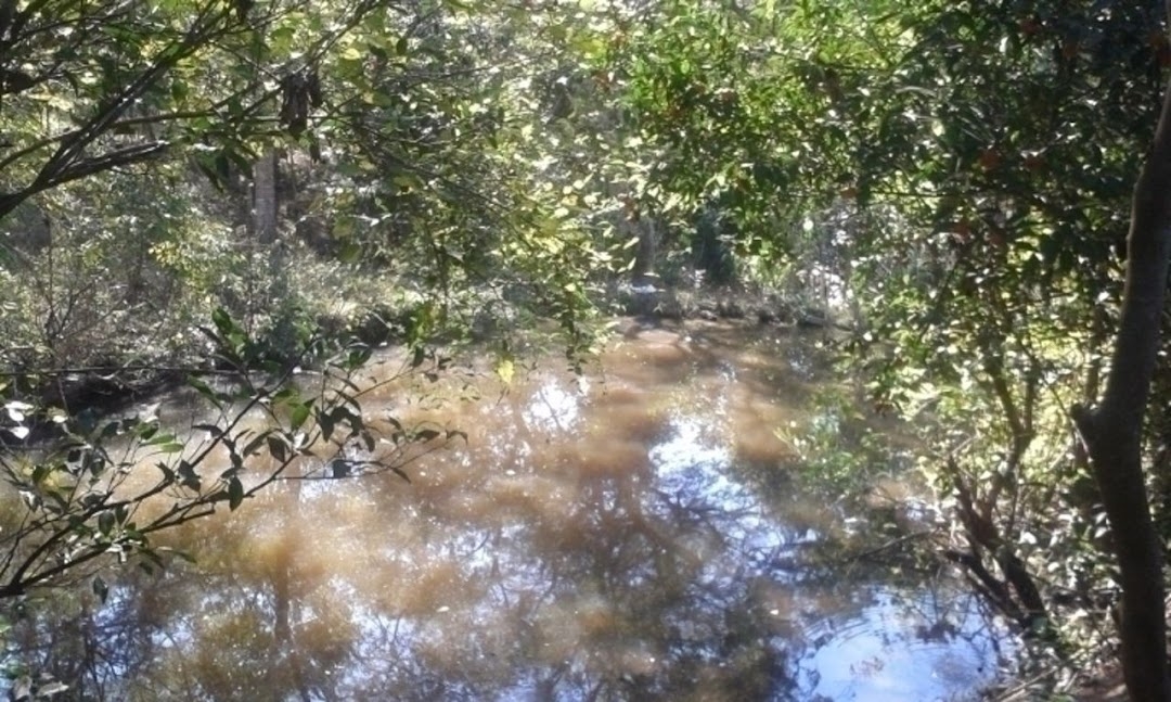 Sítio, 3 quartos, 300 m² - Foto 14