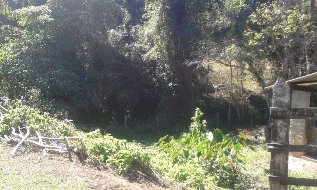 Sítio, 3 quartos, 300 m² - Foto 16