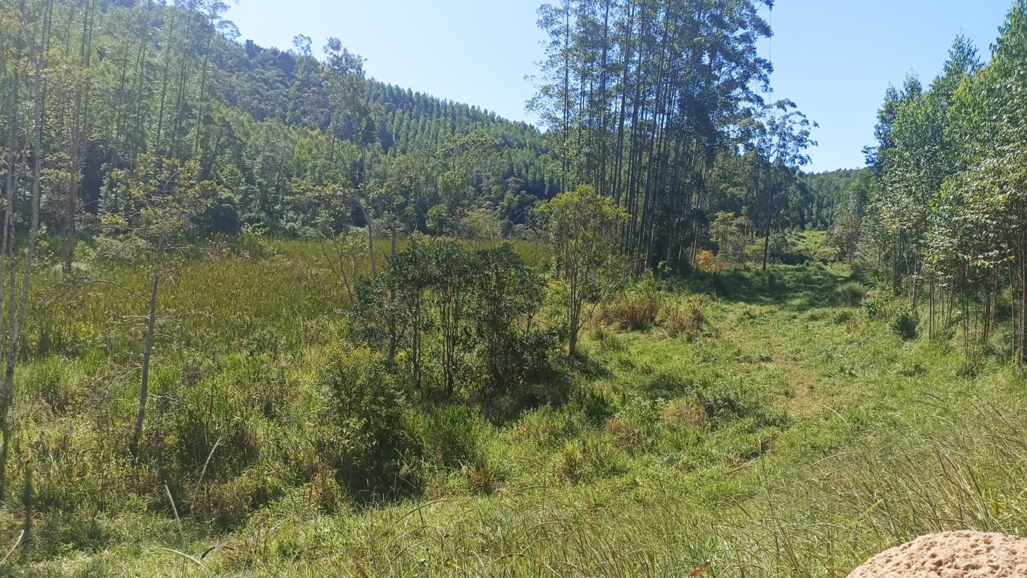 Sítio, 1 quarto, 200 m² - Foto 3