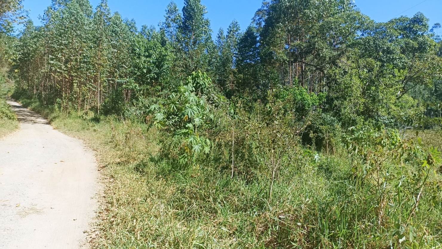 Sítio, 1 quarto, 200 m² - Foto 10