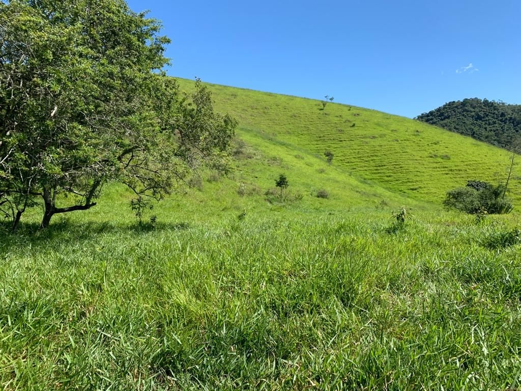 Sítio, 3 quartos, 300 m² - Foto 1