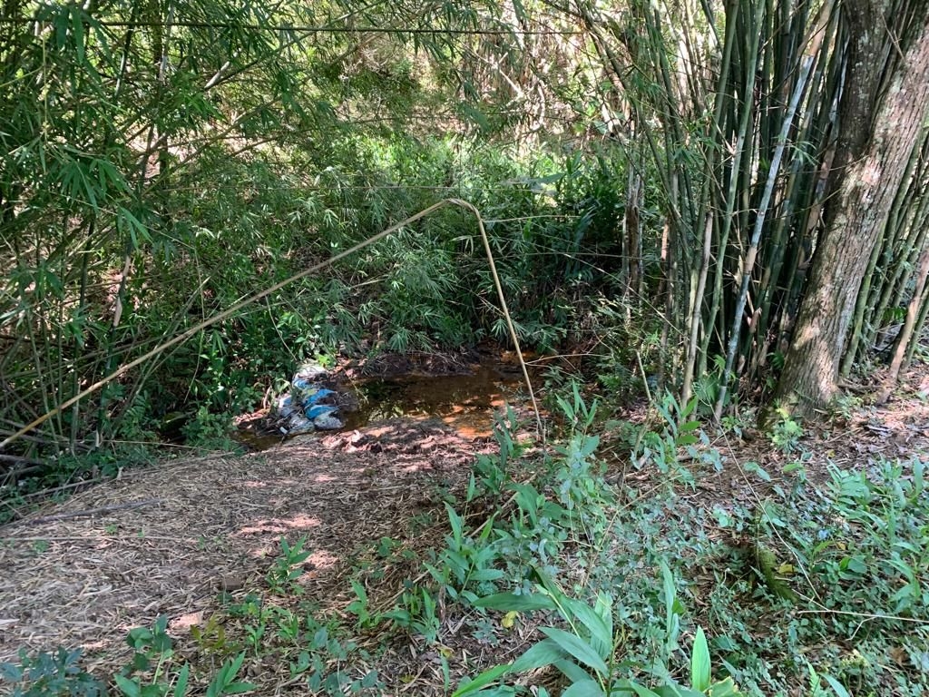 Sítio, 3 quartos, 300 m² - Foto 2