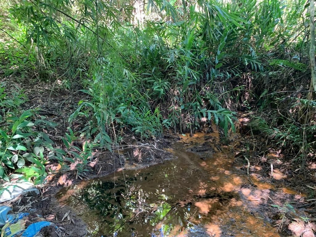 Sítio, 3 quartos, 300 m² - Foto 3