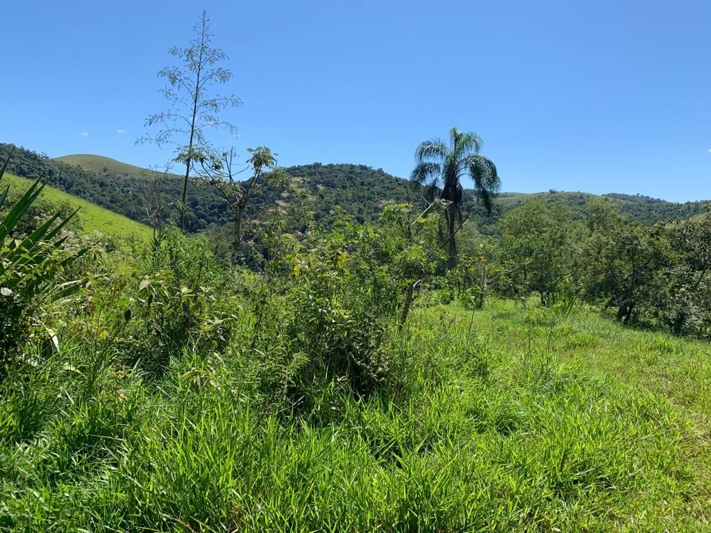 Sítio, 3 quartos, 300 m² - Foto 5