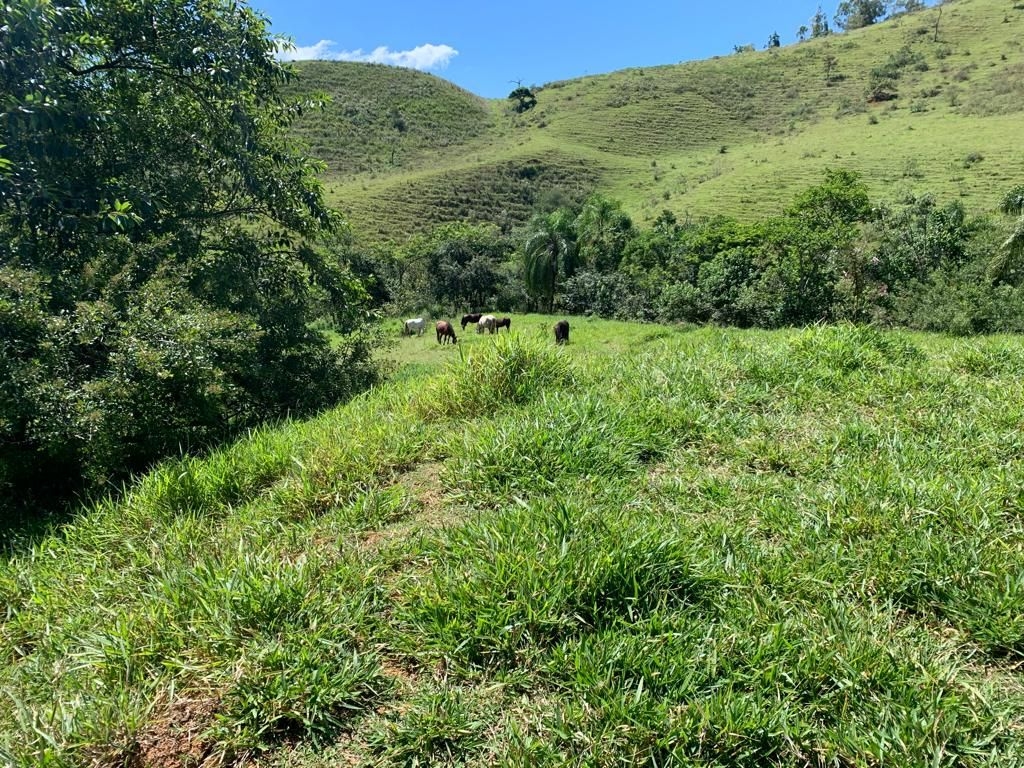 Sítio em São José dos Campos/São Paulo — Ref 0B5GX1 — Imagem 6