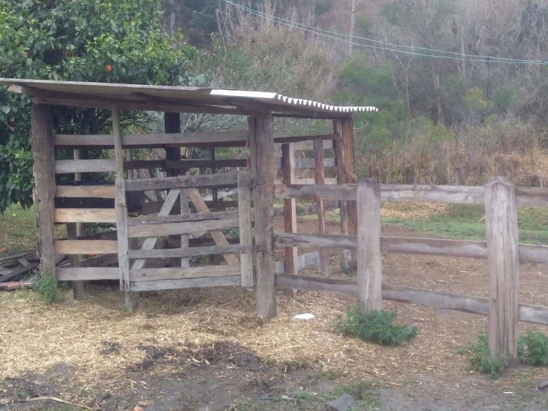 Sítio, 3 quartos, 100 m² - Foto 3