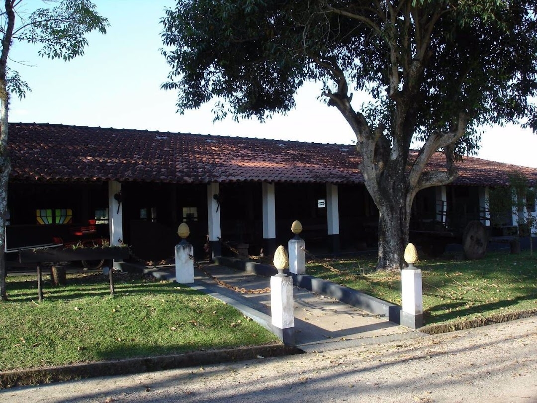 Fazenda, 145 hectares - Foto 5