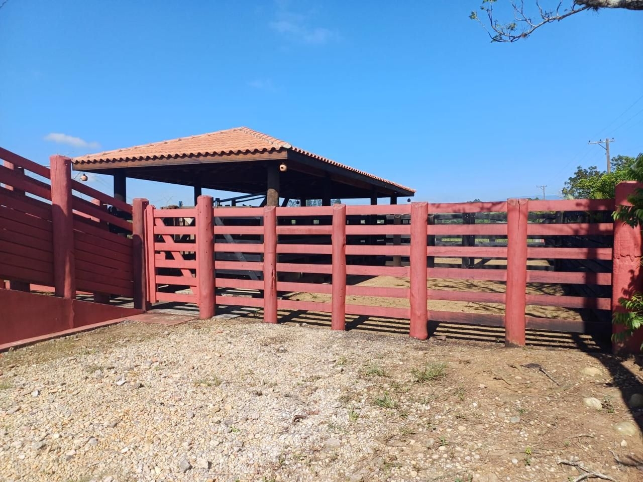 Sítio, 1 quarto, 100 m² - Foto 3