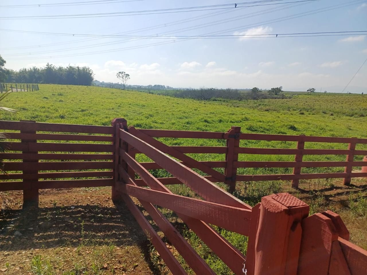 Sítio, 1 quarto, 100 m² - Foto 6