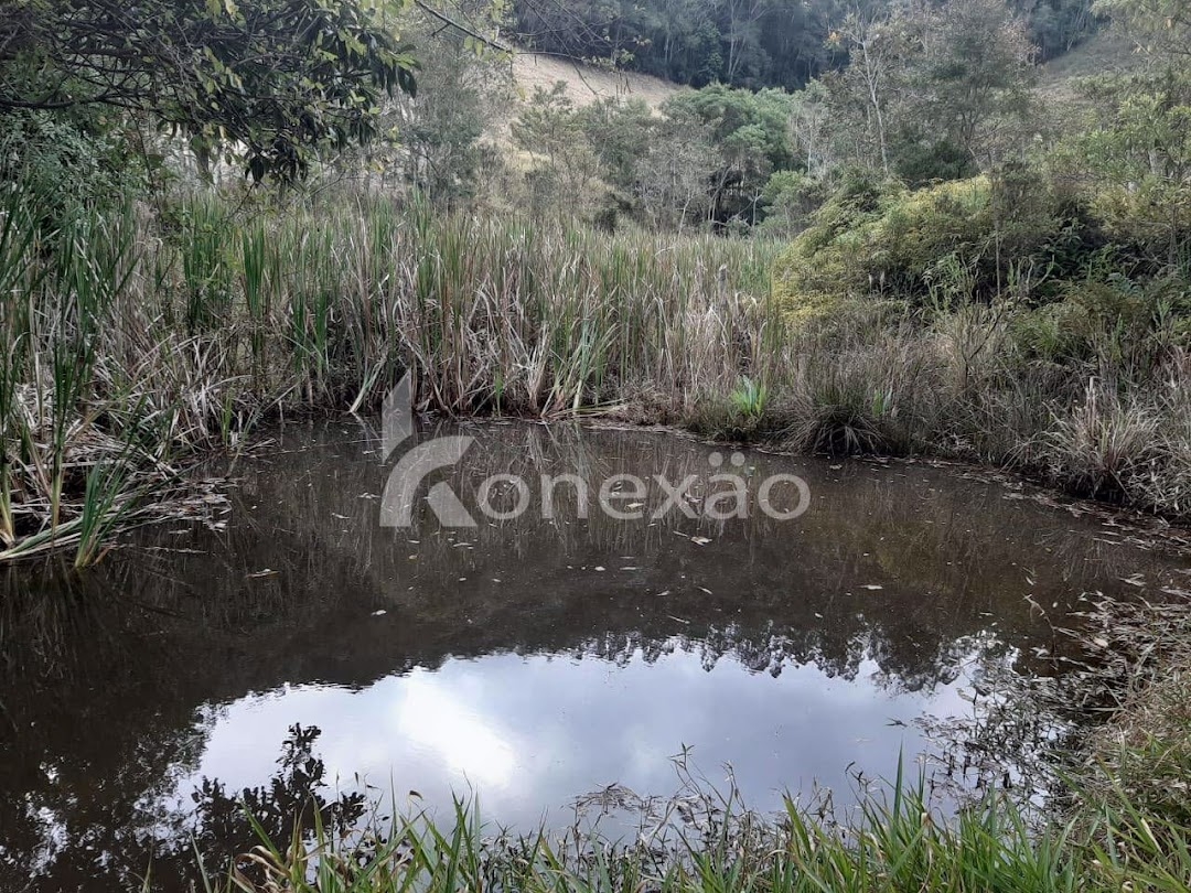 Sítio, 1 quarto, 4 m² - Foto 1