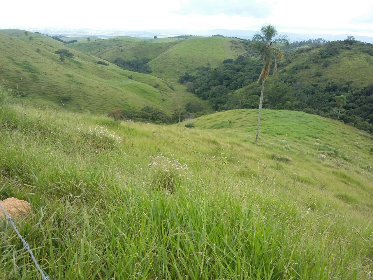 Fazenda, 100 m² - Foto 3