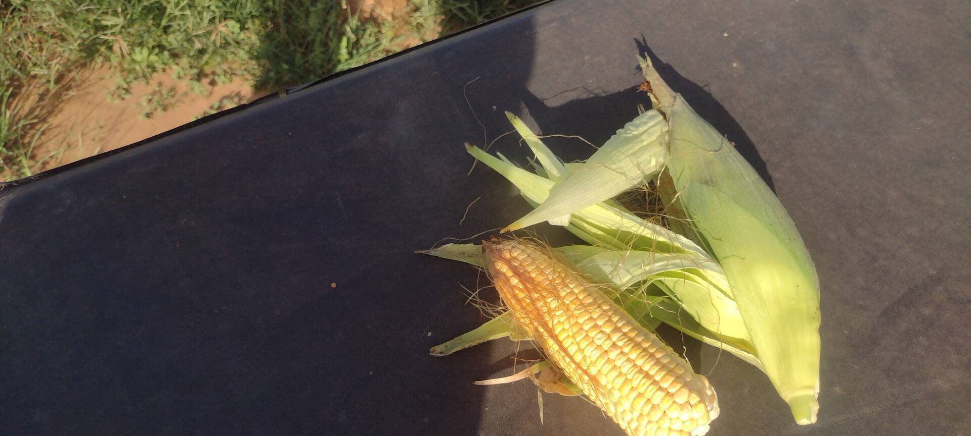 Fazenda-Sítio-Chácara, 133 m² - Foto 3