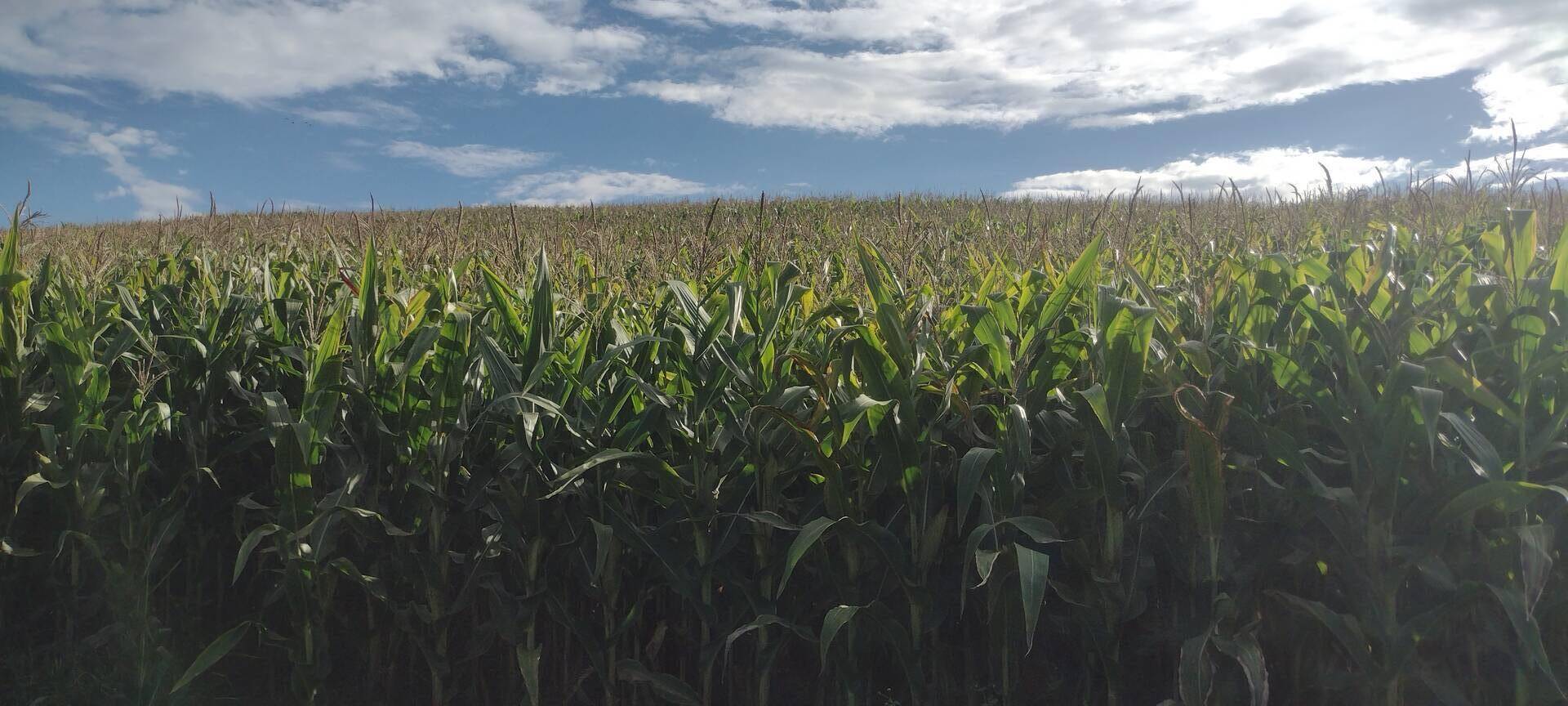 Fazenda-Sítio-Chácara, 133 m² - Foto 2