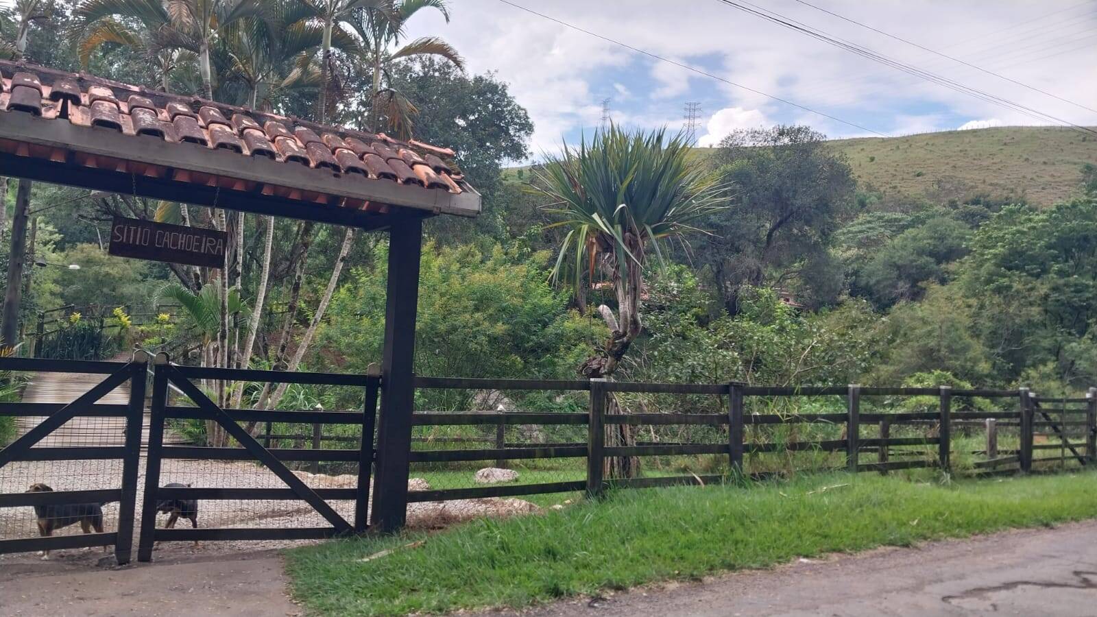 Sítio, 3 quartos, 200 m² - Foto 6