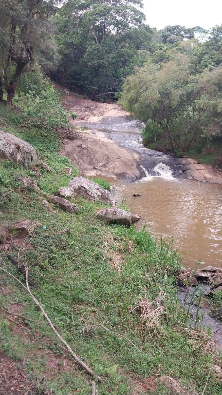 Sítio, 3 quartos, 200 m² - Foto 3