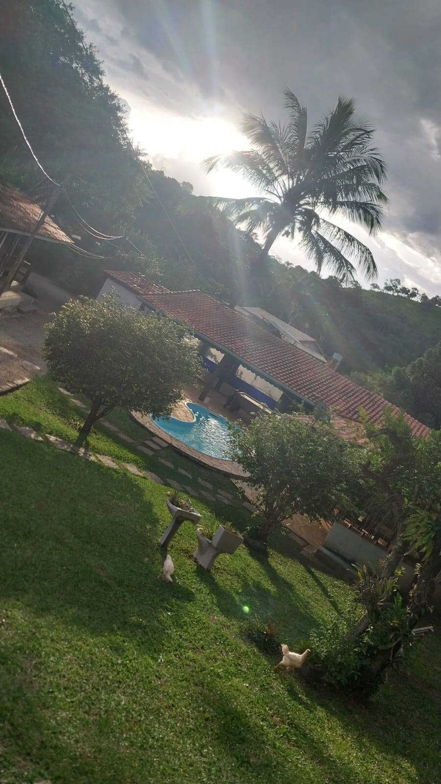 Sítio, 3 quartos, 200 m² - Foto 33