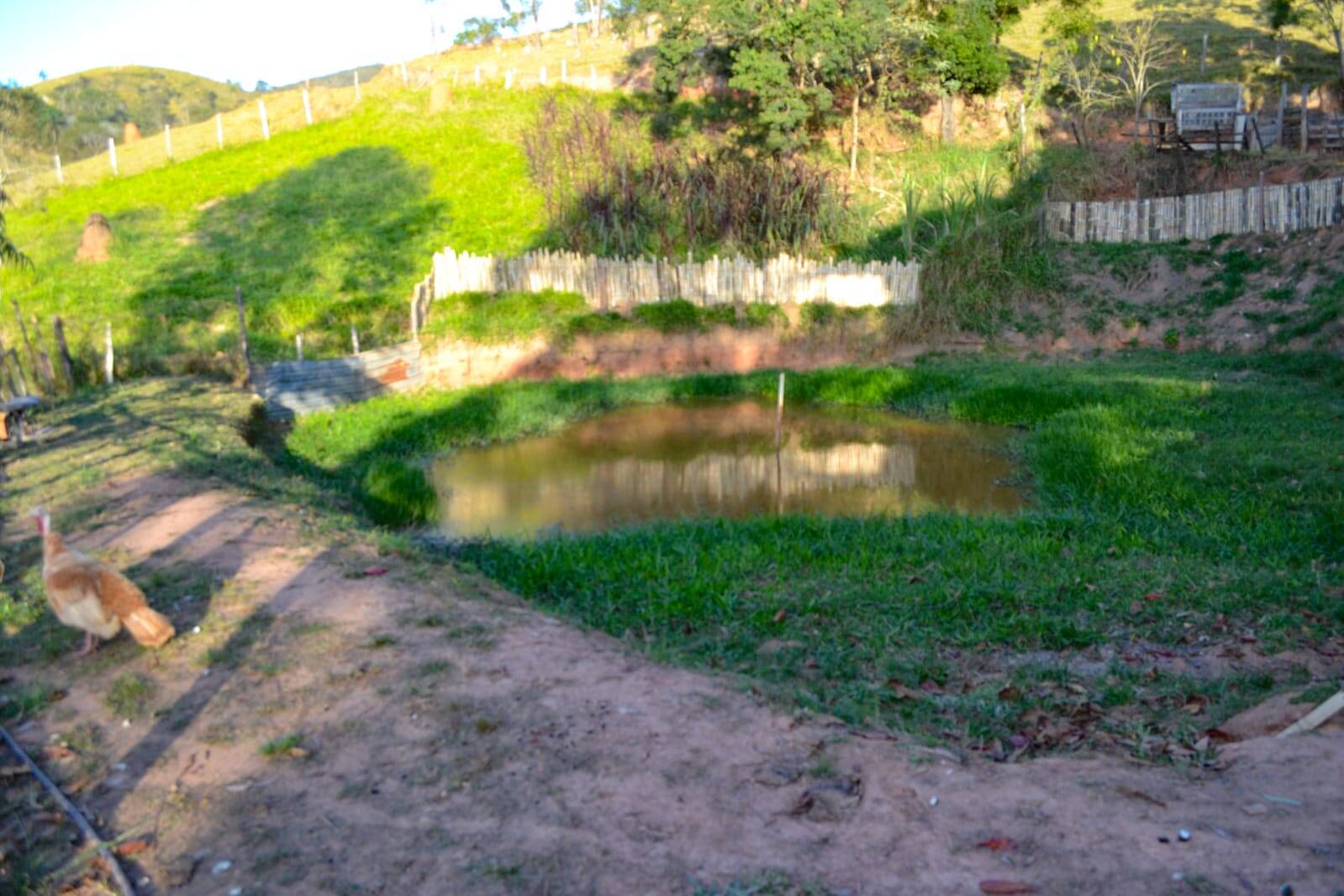 Sítio, 3 quartos, 8 hectares - Foto 3