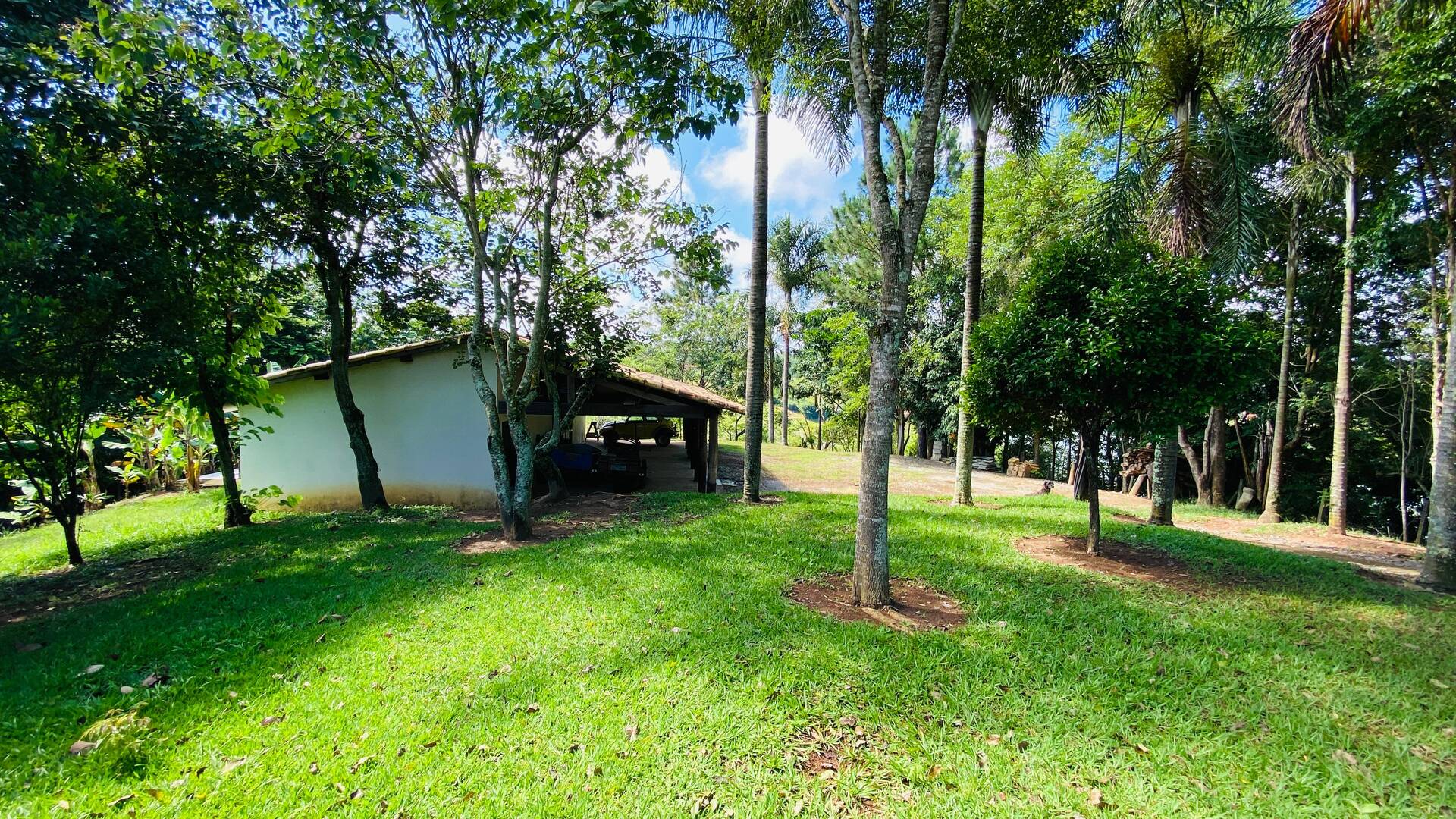 Chácara, 3 quartos, 2 hectares - Foto 47