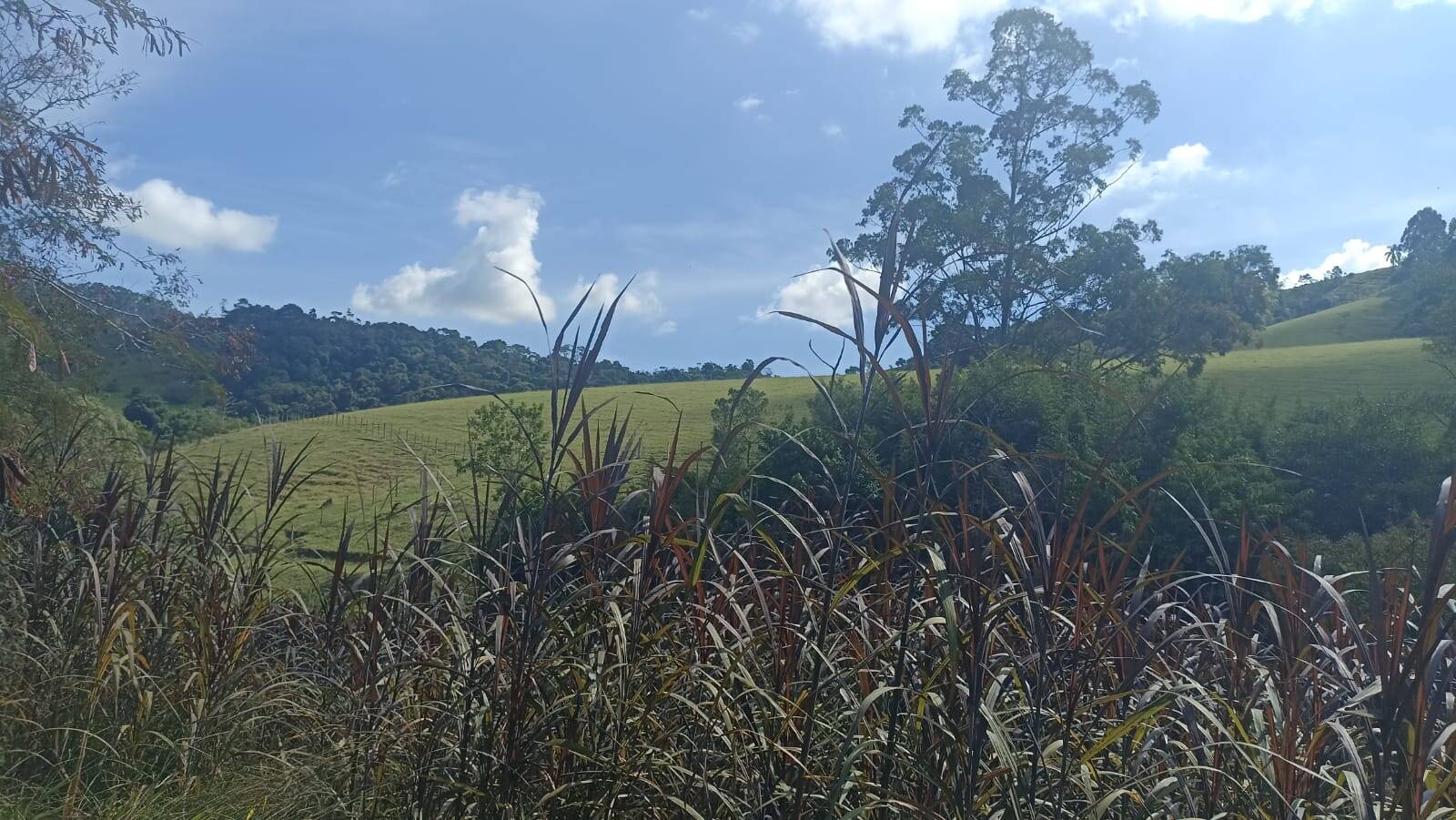 Sítio, 2 quartos, 17 hectares - Foto 3