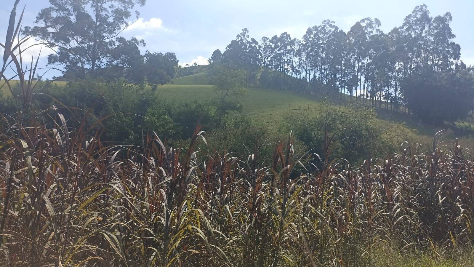 Sítio, 2 quartos, 17 hectares - Foto 4