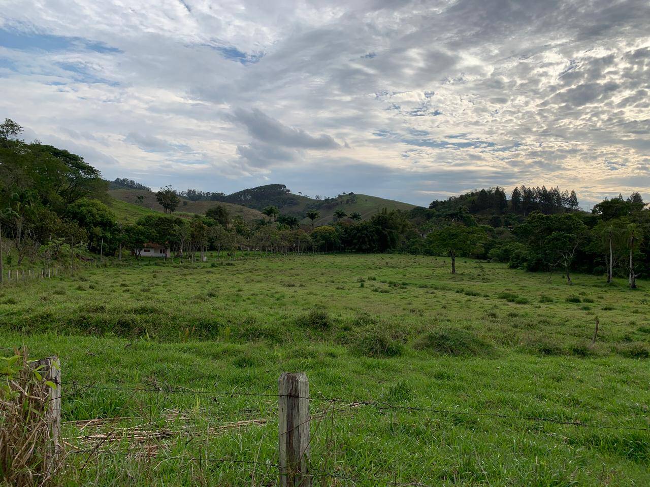 Sítio, 4 quartos, 33 m² - Foto 5