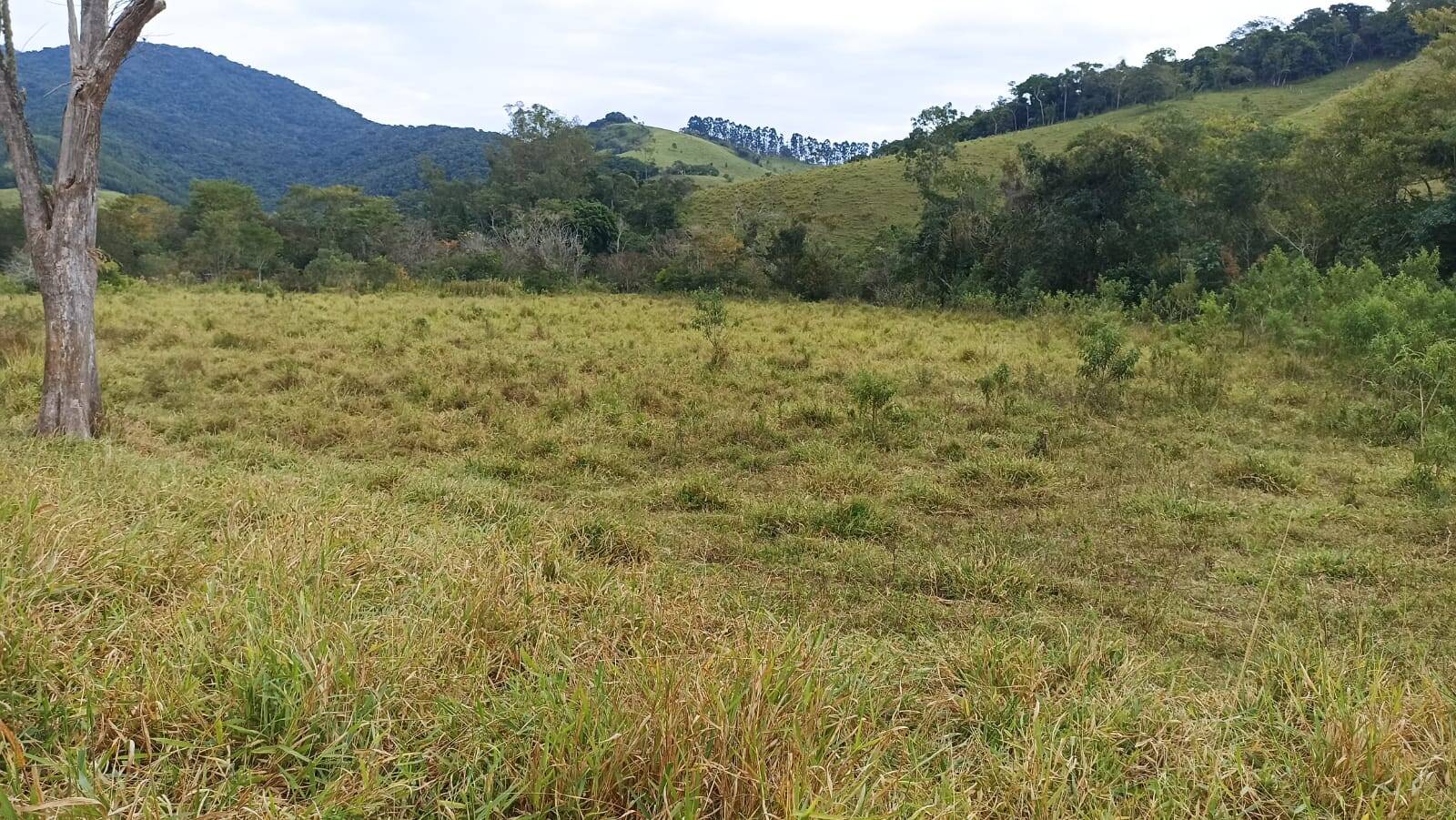 Fazenda, 114 hectares - Foto 5