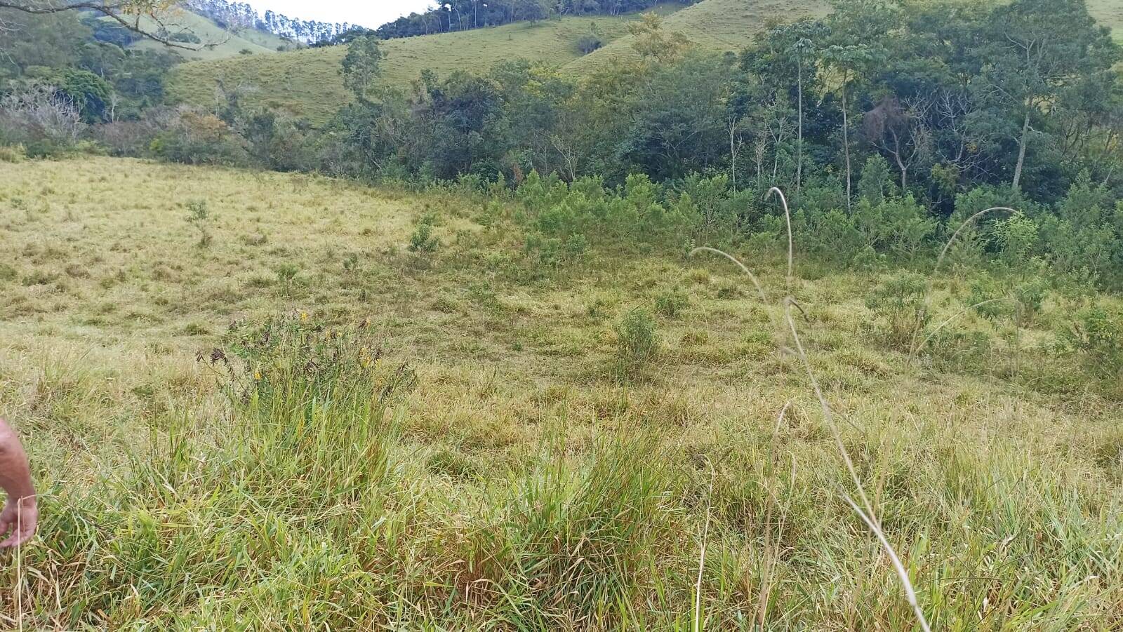 Fazenda, 114 hectares - Foto 4