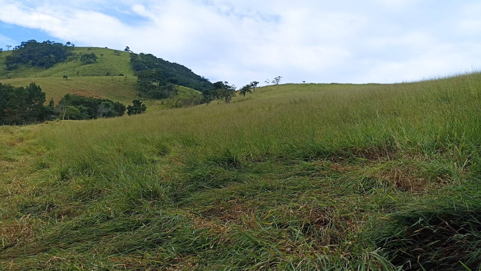 Fazenda, 114 hectares - Foto 1