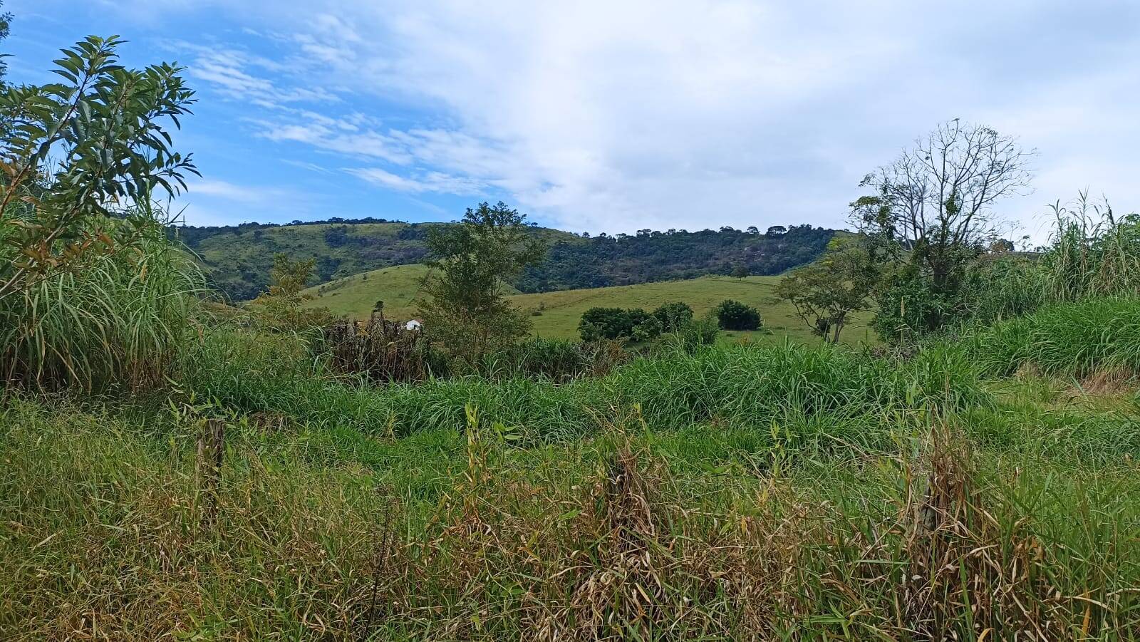 Fazenda em Paraibuna/São Paulo — Ref XBJKNS — Imagem 10