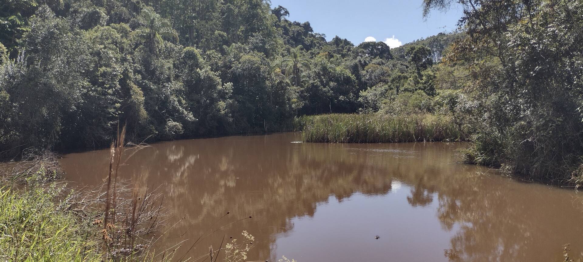 Fazenda-Sítio-Chácara, 174 m² - Foto 13