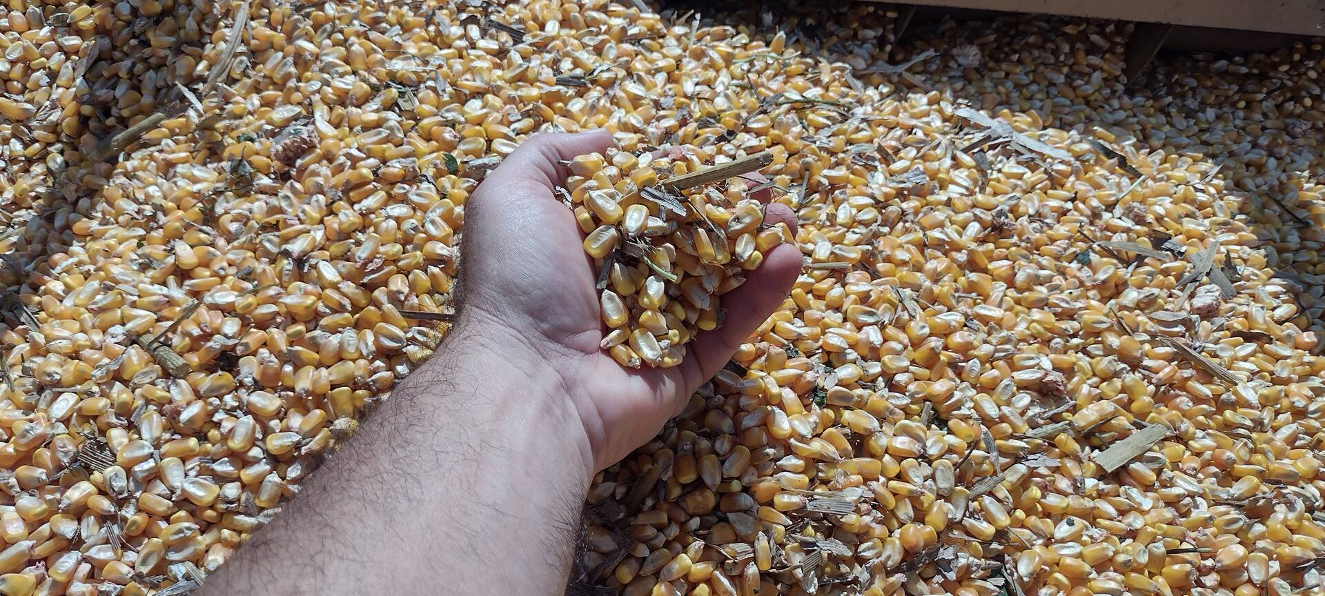 Fazenda-Sítio-Chácara, 174 m² - Foto 1