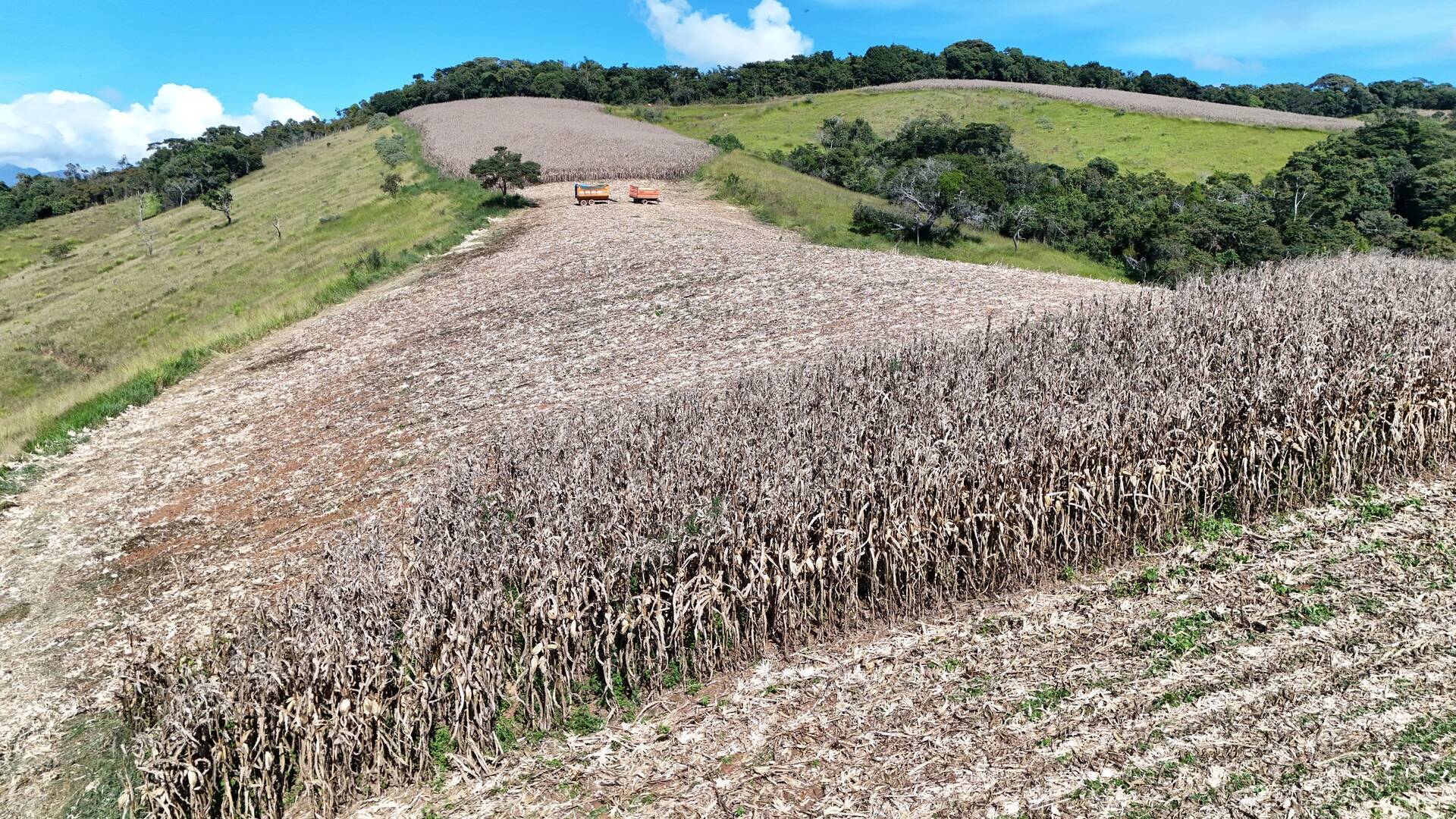 Fazenda-Sítio-Chácara, 174 m² - Foto 5