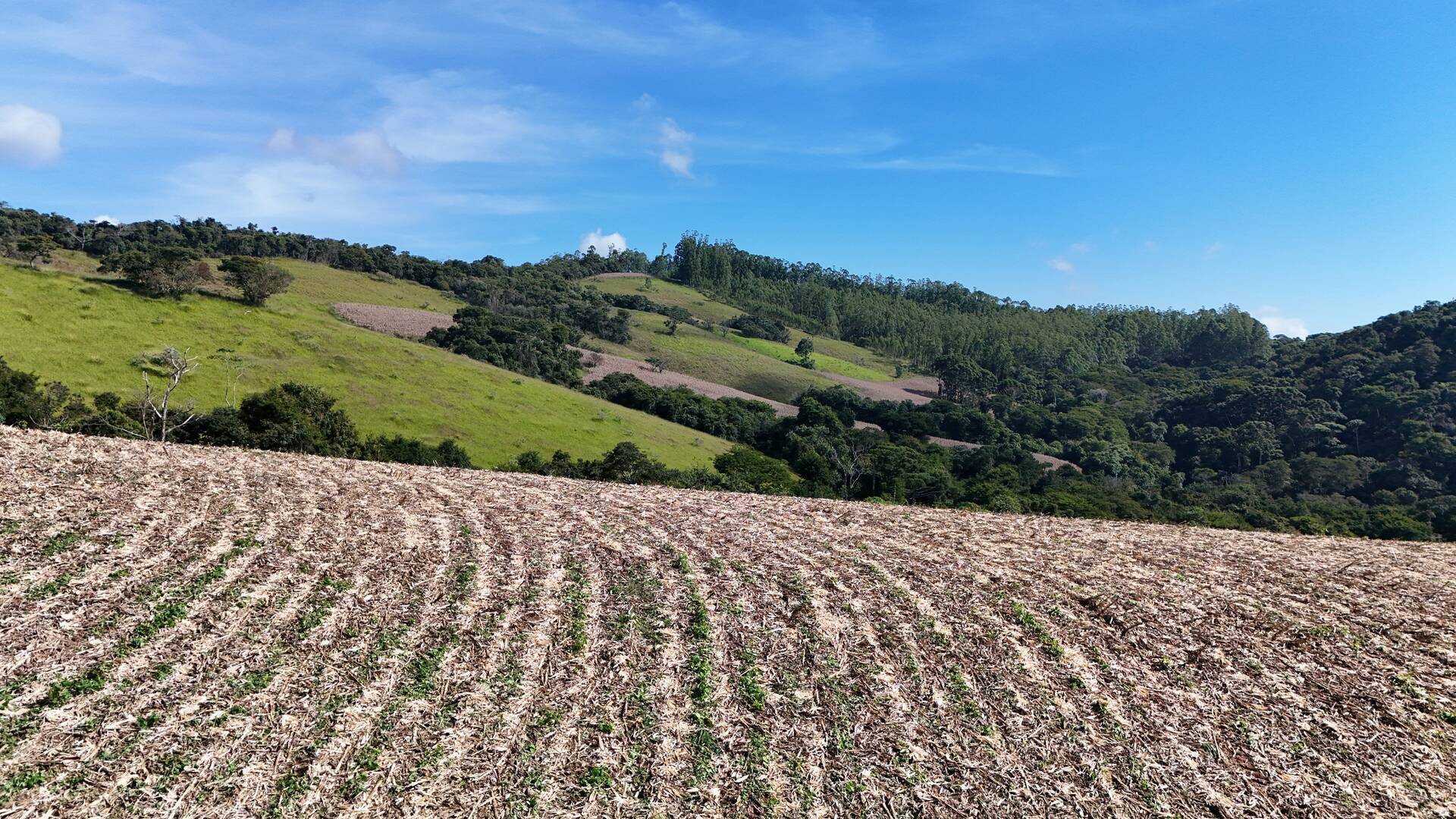 Fazenda-Sítio-Chácara, 174 m² - Foto 6
