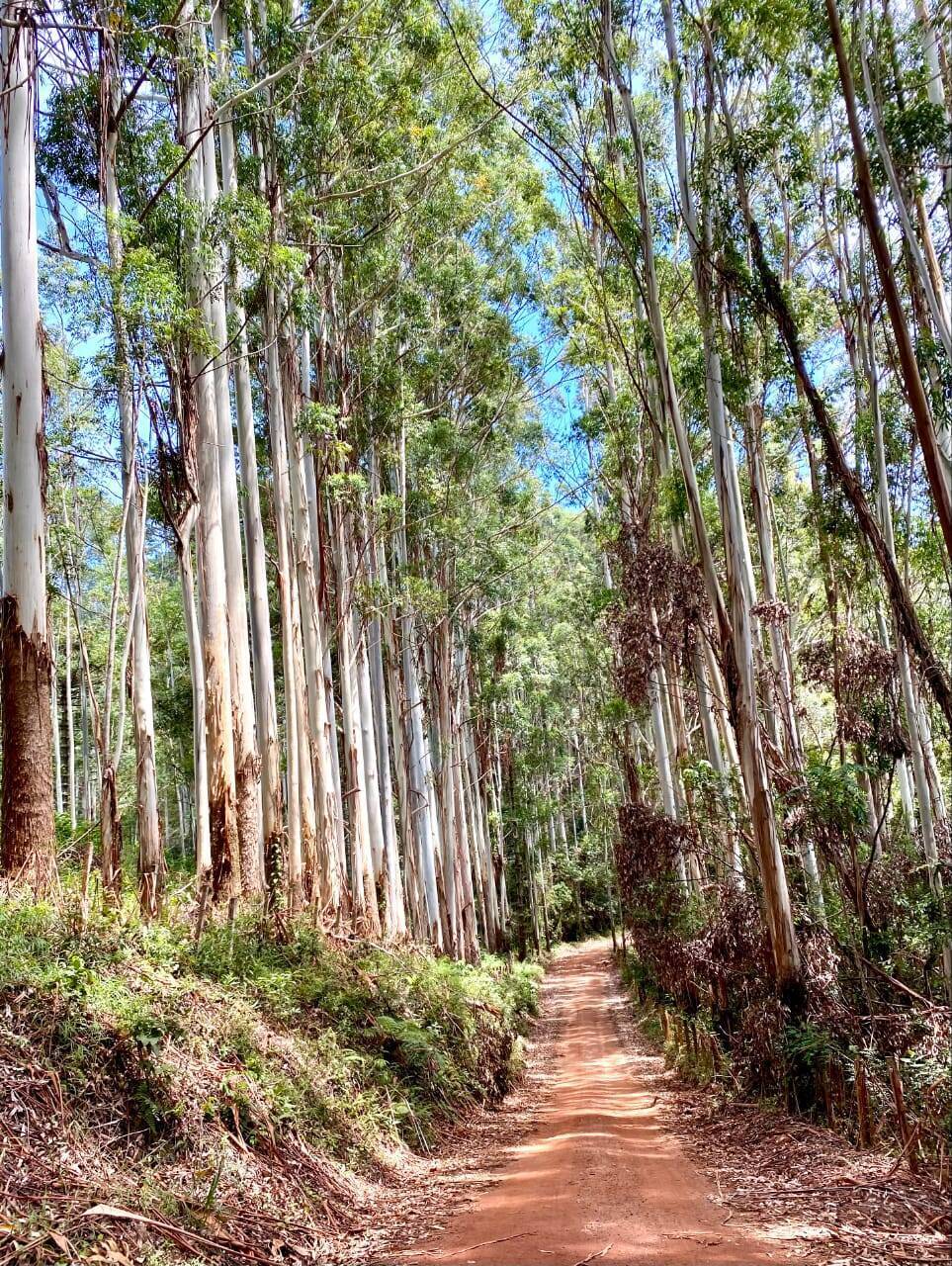 Fazenda-Sítio-Chácara, 174 m² - Foto 11