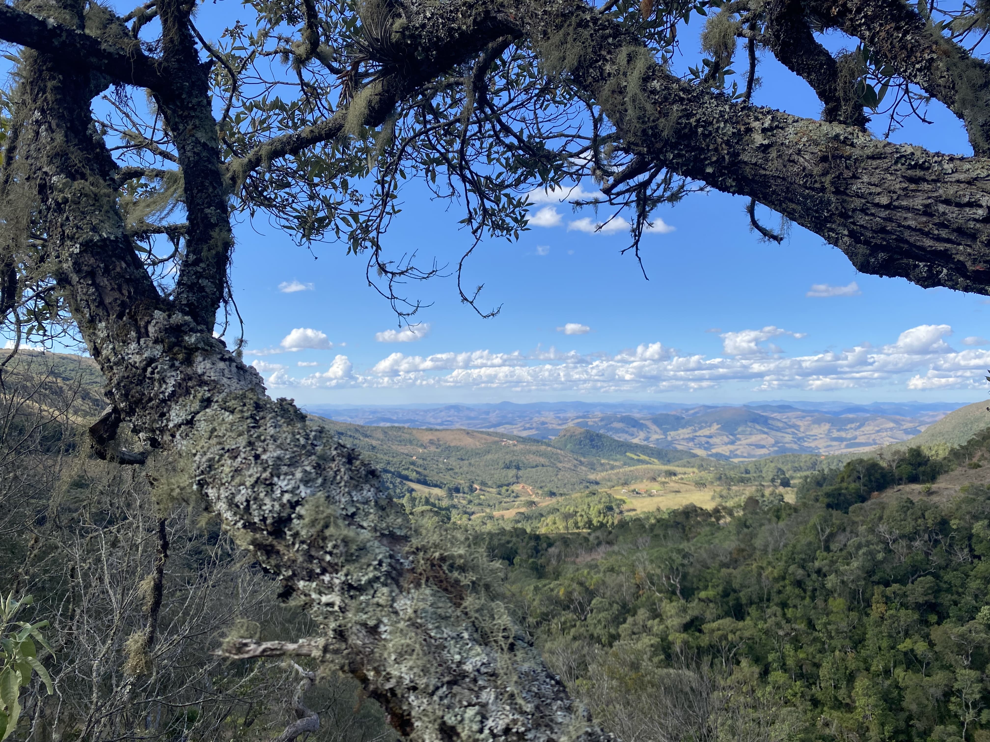 Fazenda-Sítio-Chácara, 174 m² - Foto 37